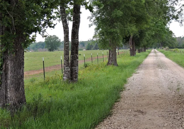 Photo 3 of Land for sale at 749 County Road 4110, Crockett, TX 75835 | MLS# 96689810 | Listing updated on 2026-09-03