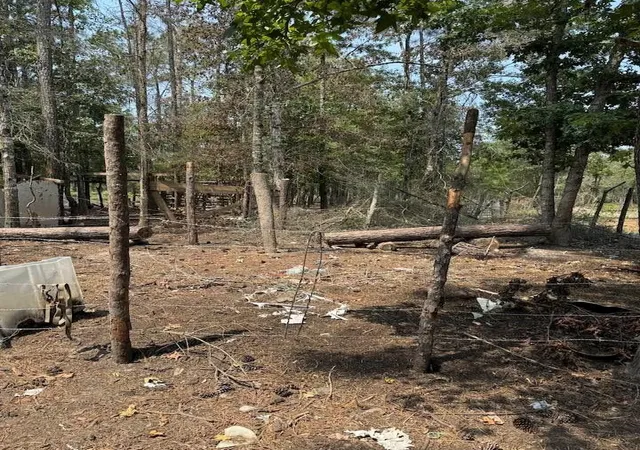 Photo 3 of Land for sale at 745 W Pine Pebble, Livingston, TX 77351 | MLS# 4699940 | Listing updated on 2026-09-10