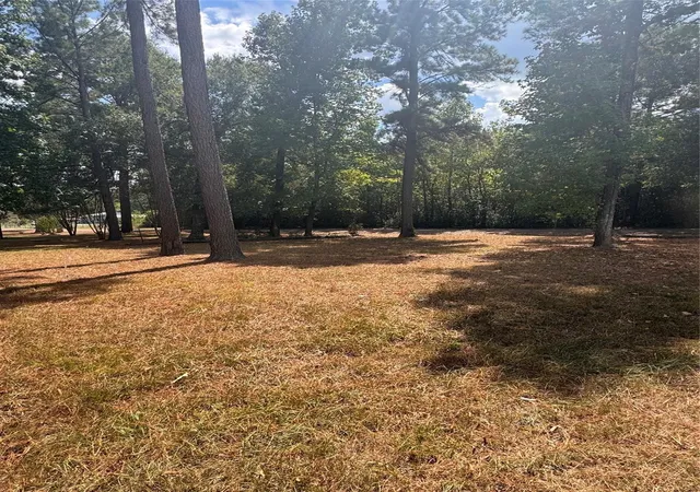 Land for sale at 2300 County Rd 2134, Cleveland, TX 77327 | MLS# 30350143