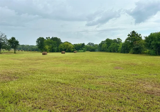 Photo 2 of Land for sale at Tbd Roy Webb Rd, Huntsville, TX 77320 | MLS# 10616871 | Listing updated on 2026-09-04