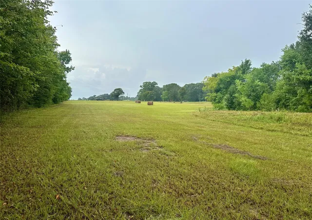 Photo 4 of Land for sale at Tbd Roy Webb Rd, Huntsville, TX 77320 | MLS# 10616871 | Listing updated on 2026-09-04