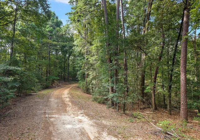 Photo 2 of Land for sale at 0 White Oak Dr, Etoile, TX 75944 | MLS# 21938590 | Listing updated on 2026-10-06