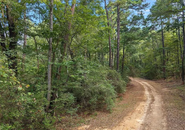 Photo 3 of Land for sale at 0 White Oak Dr, Etoile, TX 75944 | MLS# 21938590 | Listing updated on 2026-10-06