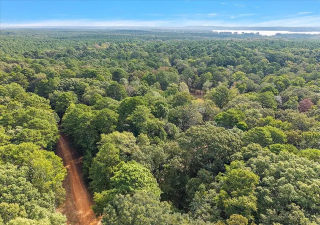 Photo 4 of Land for sale at 0 White Oak Dr, Etoile, TX 75944 | MLS# 21938590 | Listing updated on 2026-10-06