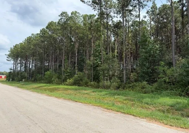 Photo 1 of Land for sale at 1558 Road 66114, Dayton, TX 77535 | MLS# 73977139 | Listing updated on 2026-09-03