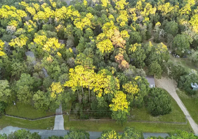 Photo 4 of Land for sale at 7349 Washington Ave, Montgomery, TX 77316 | MLS# 86766314 | Listing updated on 2026-09-05