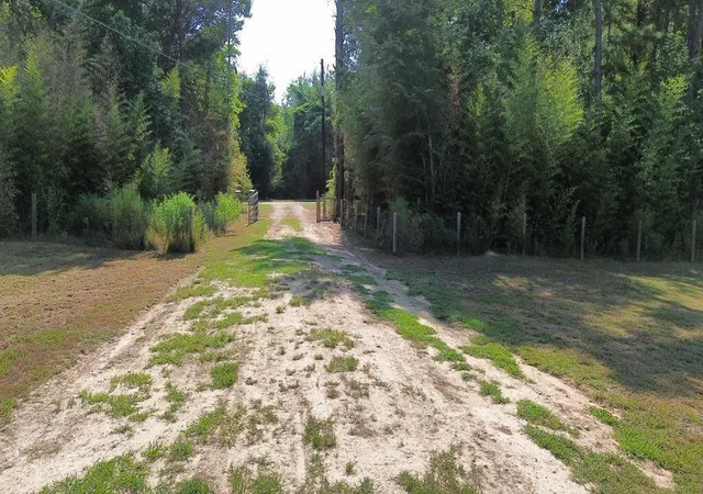 Photo 3 of Single family home for sale at 1125 County Rd 3075, Kirbyville, TX 75956 | MLS# 19005077 | Listing updated on 2026-10-05