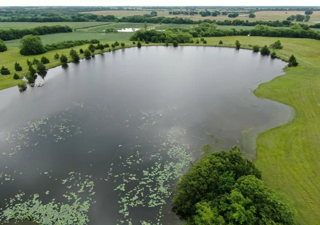 Photo 4 of Land for sale at 1075 County Rd 24280, Roxton, TX 75477 | MLS# 21629277 | Listing updated on 2026-09-07