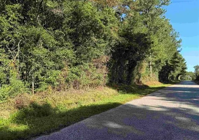 Land for sale at 00 County Rd 616, Buna, TX 77612 | MLS# 97829903