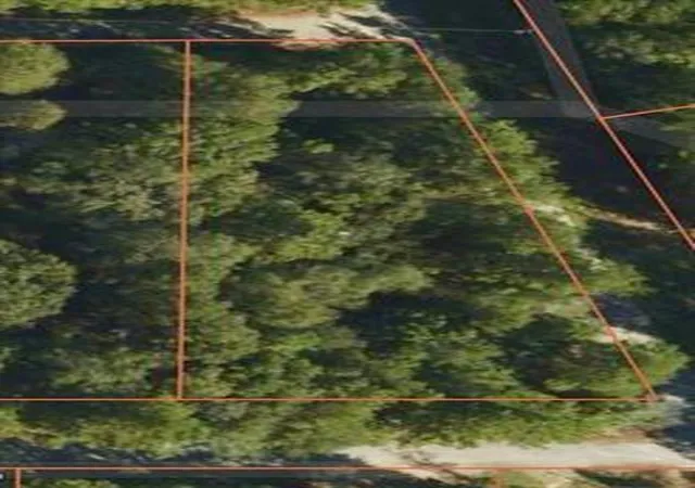 Photo 2 of Land for sale at 00 County Rd 616, Buna, TX 77612 | MLS# 97829903 | Listing updated on 2026-09-09