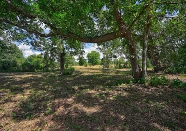 Photo 1 of Land for sale at Tbd Pryor Rd, Brookshire, TX 77423 | MLS# 65273621 | Listing updated on 2026-09-17