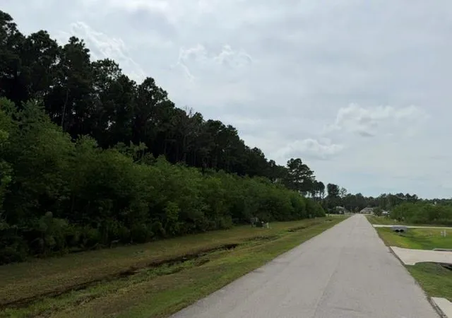 Photo 7 of Land for sale at 179 County Road 6614, Dayton, TX 77535 | MLS# 80417243 | Listing updated on 2026-09-03