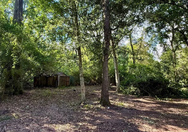 Photo 2 of Land for sale at 318 County Rd 4704, Dayton, TX 77535 | MLS# 14152789 | Listing updated on 2026-10-06
