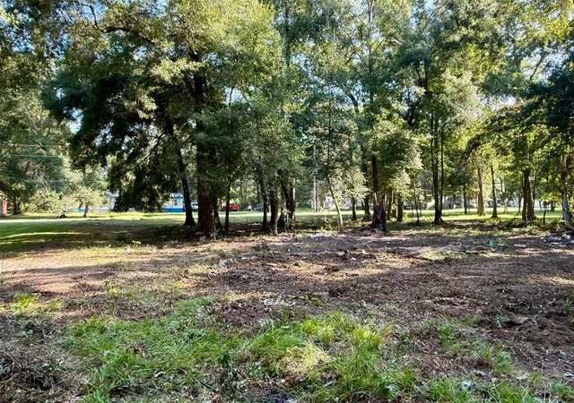 Photo 3 of Land for sale at 318 County Rd 4704, Dayton, TX 77535 | MLS# 14152789 | Listing updated on 2026-10-06