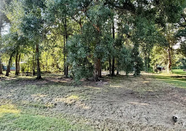 Photo 3 of Land for sale at 318 County Rd 4704, Dayton, TX 77535 | MLS# 14152789 | Listing updated on 2026-10-06