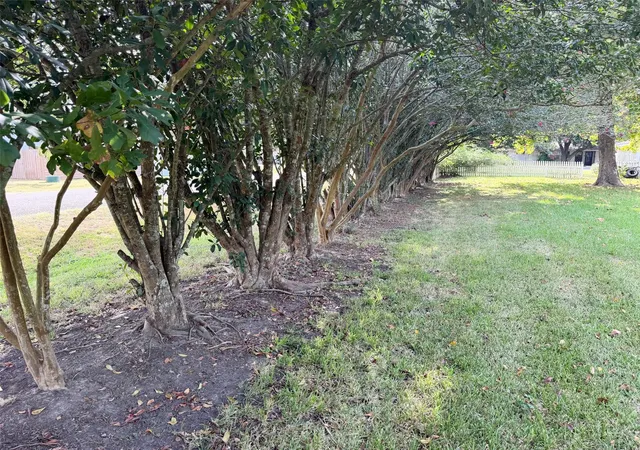 Photo 3 of Land for sale at 000 Beaumont Ave, Groves, TX 77619 | MLS# 85720588 | Listing updated on 2026-09-02