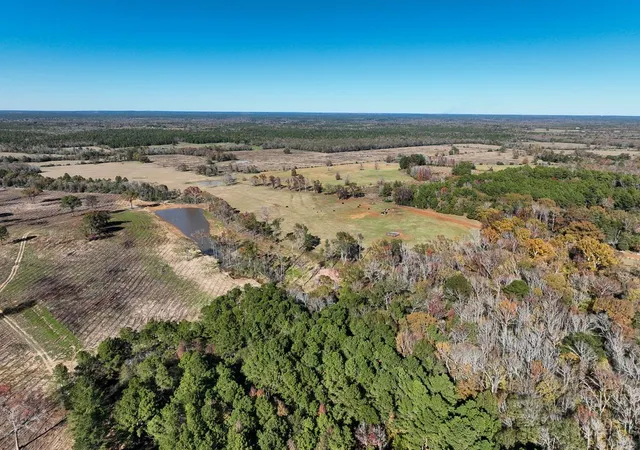 Photo 3 of Land for sale at 2 Highway 7 W, Crockett, TX 75835 | MLS# 21001807 | Listing updated on 2026-09-11