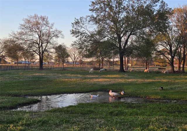 Photo 50 of Single family home for sale at 2790 Derby Ln, Madisonville, TX 77864 | MLS# 90455568 | Listing updated on 2026-09-07