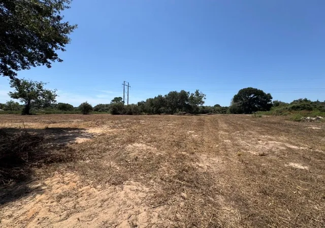 Photo 4 of Land for sale at 0 State Hwy 71, Garwood, TX 77442 | MLS# 3229547 | Listing updated on 2026-09-04