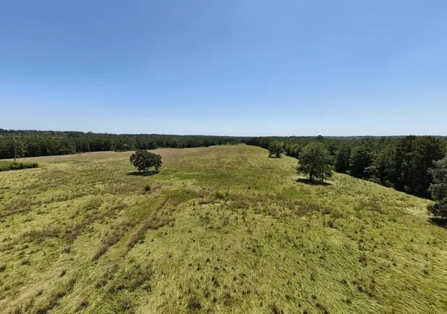Photo 2 of Land for sale at 405 County Rd 3000, Woodville, TX 75979 | MLS# 6818728 | Listing updated on 2026-09-03