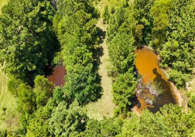 Photo 3 of Land for sale at 405 County Rd 3000, Woodville, TX 75979 | MLS# 6818728 | Listing updated on 2026-09-03