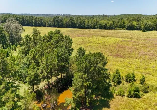 Photo 3 of Land for sale at 405 County Rd 3000, Woodville, TX 75979 | MLS# 6818728 | Listing updated on 2026-09-03