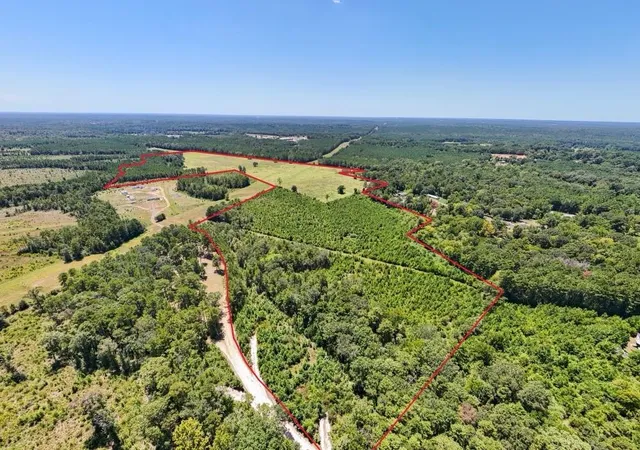 Photo 4 of Land for sale at 405 County Rd 3000, Woodville, TX 75979 | MLS# 6818728 | Listing updated on 2026-09-03