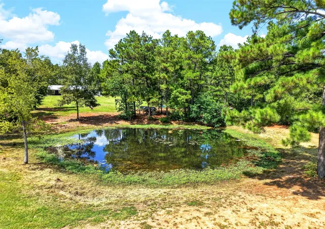 Photo 4 of Sale Pending at 1276 County Rd 1050, Crockett, TX 75835 | MLS# 18034302 | Listing updated on 2026-10-08