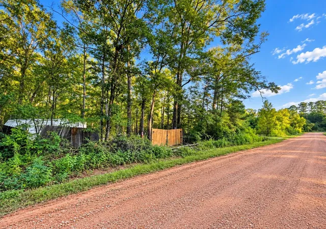 Land for sale at 0 River Crk Dr, Cleveland, TX 77328 | MLS# 91151362