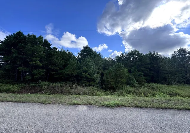 Photo 3 of Land for sale at 4546 N Duck Crk Rd, Cleveland, TX 77328 | MLS# 30483952 | Listing updated on 2026-09-10