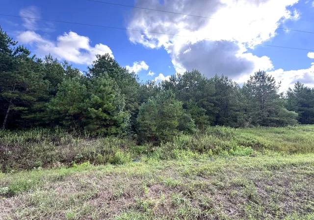 Photo 4 of Land for sale at 4546 N Duck Crk Rd, Cleveland, TX 77328 | MLS# 30483952 | Listing updated on 2026-09-10