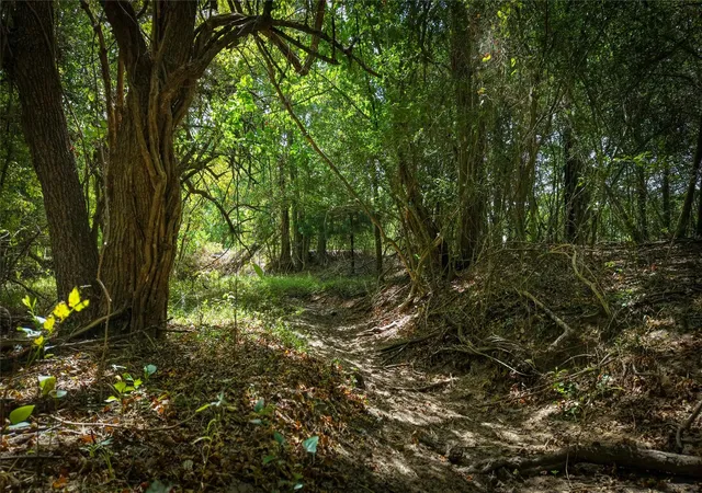 Photo 2 of Land for sale at Tract 4 Tbd Mensik Rd, Bryan, TX 77808 | MLS# 96976038 | Listing updated on 2026-09-03