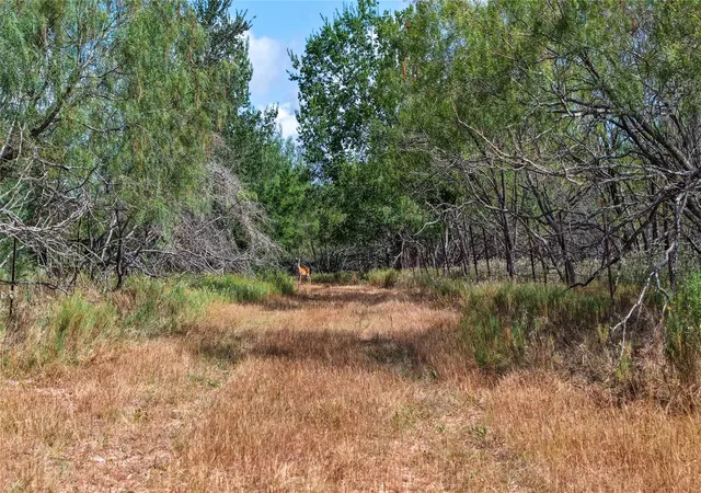 Photo 3 of Land for sale at Tract 4 Tbd Mensik Rd, Bryan, TX 77808 | MLS# 96976038 | Listing updated on 2026-09-03