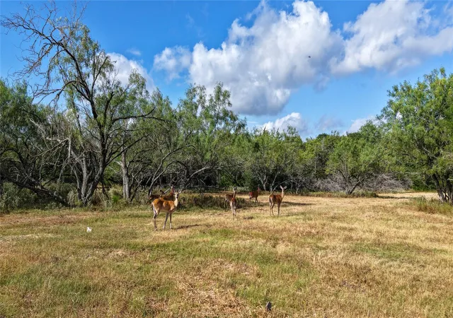 Photo 3 of Land for sale at Tract 4 Tbd Mensik Rd, Bryan, TX 77808 | MLS# 96976038 | Listing updated on 2026-09-03
