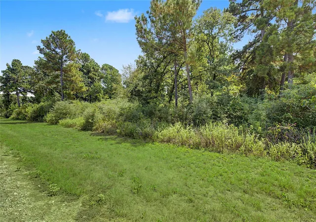 Photo 4 of Land for sale at Lot 15 Woodland Hills Ranch, Centerville, TX 75833 | MLS# 71747303 | Listing updated on 2026-09-18
