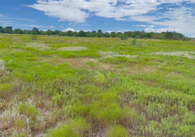 Photo 4 of Land for sale at 0000a Battle Rd, Kendleton, TX 77451 | MLS# 66997114 | Listing updated on 2026-09-11