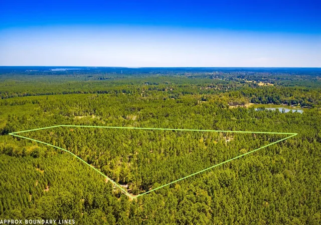 Photo 1 of Land for sale at Tbd E Lakeview Dr, Trinity, TX 75862 | MLS# 56983132 | Listing updated on 2026-09-07
