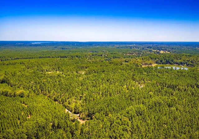 Photo 2 of Land for sale at Tbd E Lakeview Dr, Trinity, TX 75862 | MLS# 56983132 | Listing updated on 2026-09-07