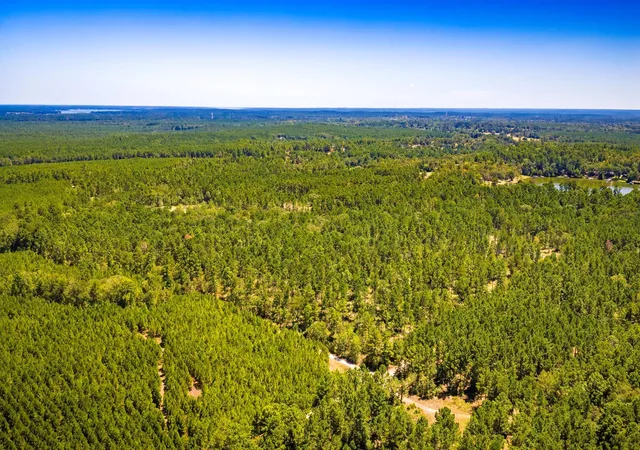 Photo 30 of Land for sale at Tbd E Lakeview Dr, Trinity, TX 75862 | MLS# 56983132 | Listing updated on 2026-09-07