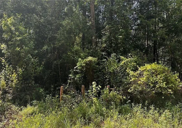 Photo 3 of Land for sale at S05350 Wingfield Dr, Lumberton, TX 77657 | MLS# 73138675 | Listing updated on 2026-08-31