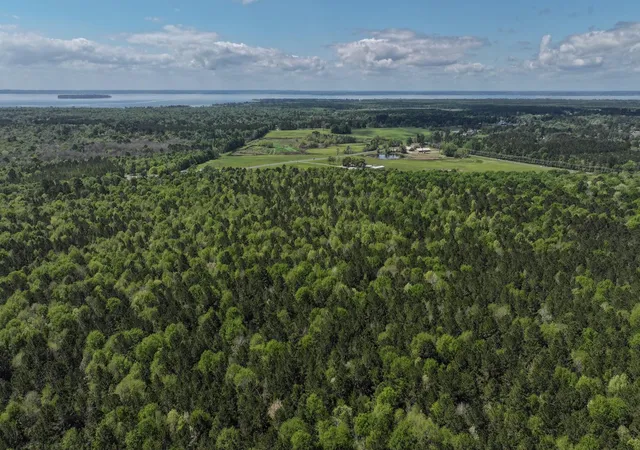 Photo 2 of Land for sale at Tbd 00 Fm 2457, Livingston, TX 77351 | MLS# 14504348 | Listing updated on 2026-09-04