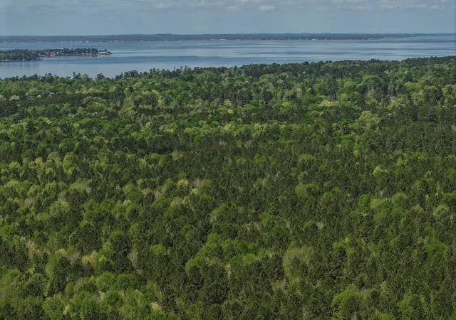 Photo 3 of Land for sale at Tbd 00 Fm 2457, Livingston, TX 77351 | MLS# 14504348 | Listing updated on 2026-09-04