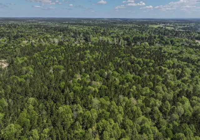 Photo 3 of Land for sale at Tbd 00 Fm 2457, Livingston, TX 77351 | MLS# 14504348 | Listing updated on 2026-09-04