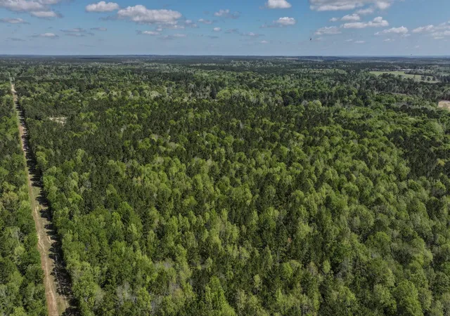 Photo 4 of Land for sale at Tbd 00 Fm 2457, Livingston, TX 77351 | MLS# 14504348 | Listing updated on 2026-09-04