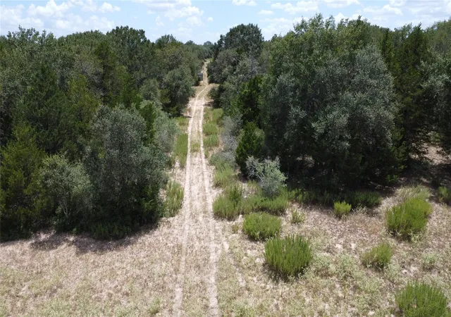 Photo 1 of Land for sale at Tbd County Rd 119/pvt1024 Cr 1024, Hallettsville, TX 77964 | MLS# 81121004 | Listing updated on 2026-09-02