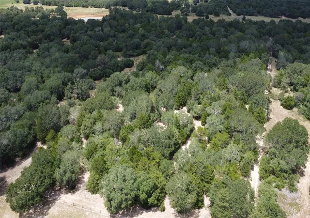 Photo 3 of Land for sale at Tbd County Rd 119/pvt1024 Cr 1024, Hallettsville, TX 77964 | MLS# 81121004 | Listing updated on 2026-09-02