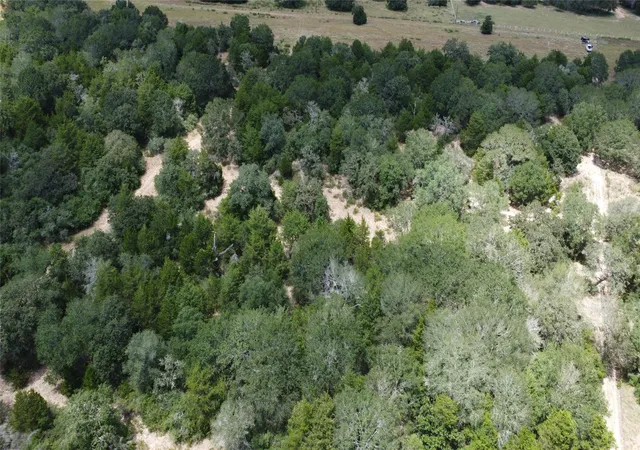 Photo 4 of Land for sale at Tbd County Rd 119/pvt1024 Cr 1024, Hallettsville, TX 77964 | MLS# 81121004 | Listing updated on 2026-09-02