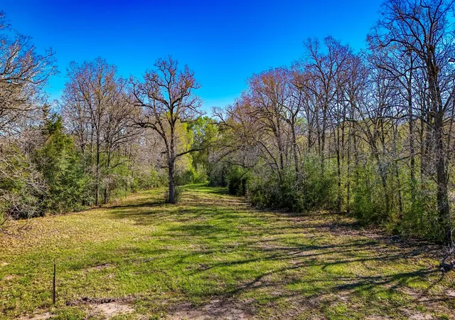 Photo 4 of Land for sale at Tbd Connor Landing, Madisonville, TX 77864 | MLS# 59715049 | Listing updated on 2026-09-04