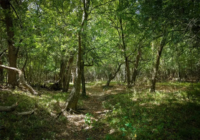 Photo 3 of Sale Pending at Tract 2 Tbd Mensik Rd, Bryan, TX 77808 | MLS# 40998029 | Listing updated on 2026-09-25