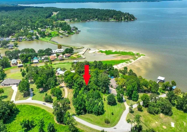 Photo 3 of Land for sale at 0 Tbd Harrell Cemetery Rd, Coldspring, TX 77331 | MLS# 49858376 | Listing updated on 2026-09-15